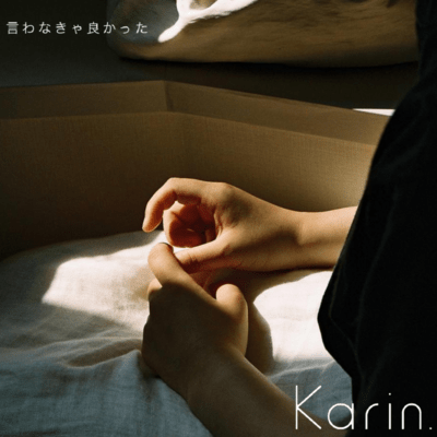 言わなきゃ良かったのジャケット写真