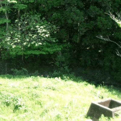 Awa Front Cover