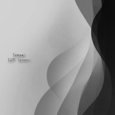 Sonzai Front Cover