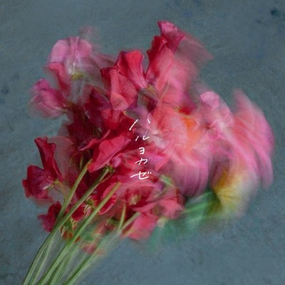 Haruyokaze Front Cover