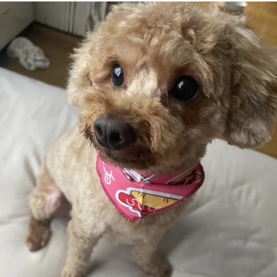 TAPI (feat. TAPI) Front Cover