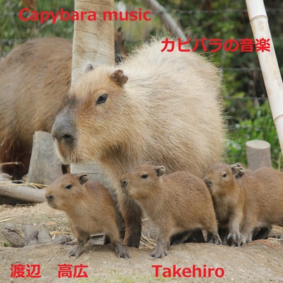 Capybara holiday Front Cover