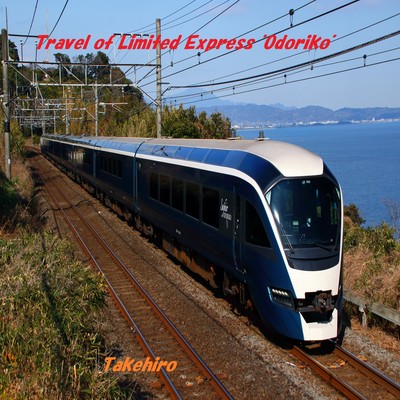 Travel of Limited Express "Odoriko" Front Cover