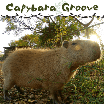 Capybara Groove Front Cover