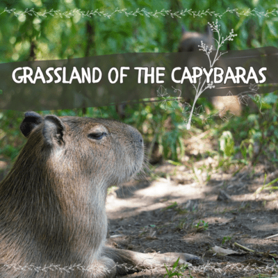 Grassland of the Capybaras Front Cover