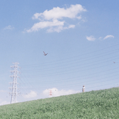 盟友のジャケット写真