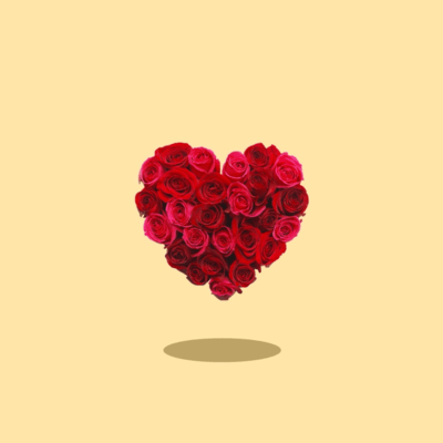 proposal Front Cover