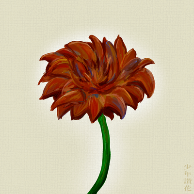 少年讃花のジャケット写真