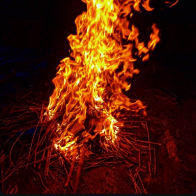 Catherineのジャケット写真