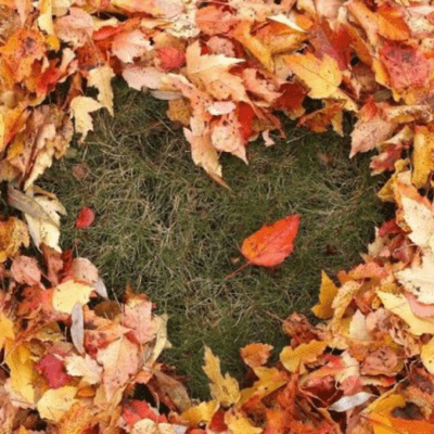 Wasted time Front Cover