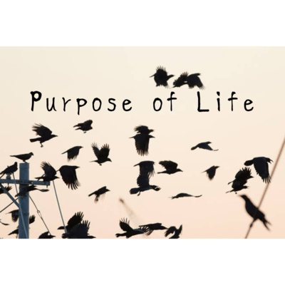 Purpose of Lifeのジャケット写真