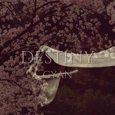 DESTINYのジャケット写真