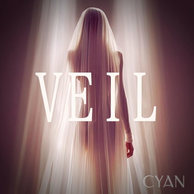 VEIL Front Cover
