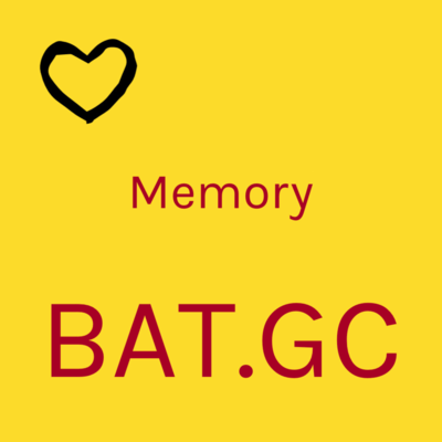Memory Front Cover