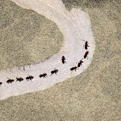 YARIMAKURI (feat. Chef papa) Front Cover