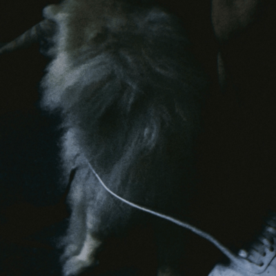 God bless Front Cover