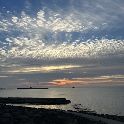 神様とんぼのジャケット写真