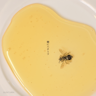 棘にハチミツのジャケット写真