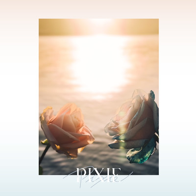 PIXIEのジャケット写真