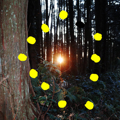 Kariyadoのジャケット写真