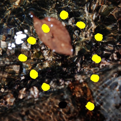 Windmillsのジャケット写真