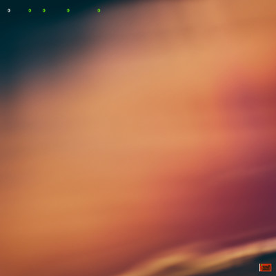 Perfect Days Front Cover