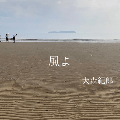 in the wind Front Cover