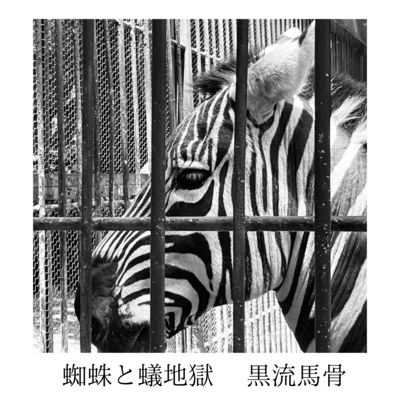 Spider and Antlion larva Front Cover