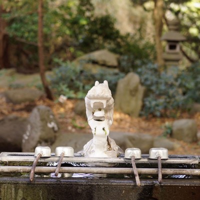 New World Front Cover