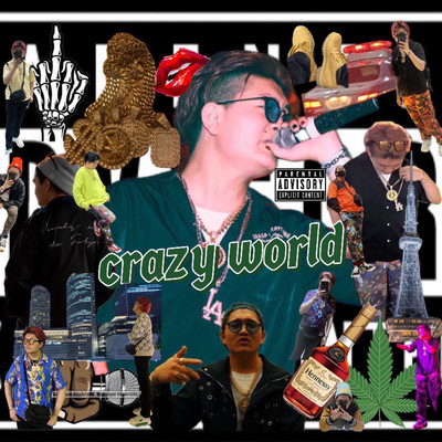 crazy world Front Cover