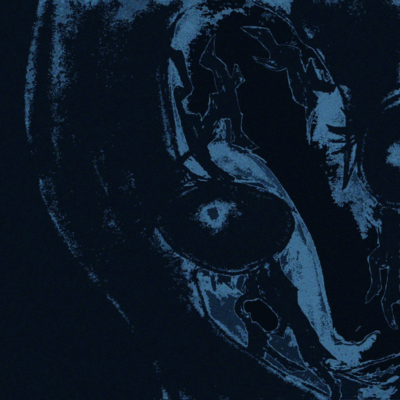 見るな!のジャケット写真