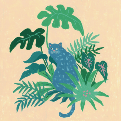 Qantikala Front Cover