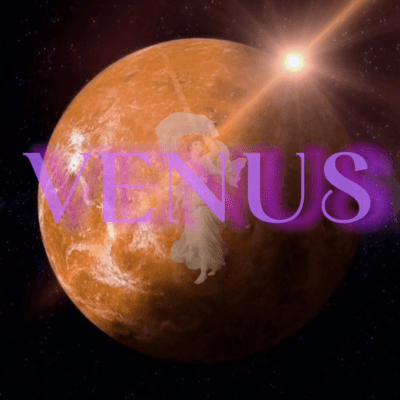 VENUSのジャケット写真