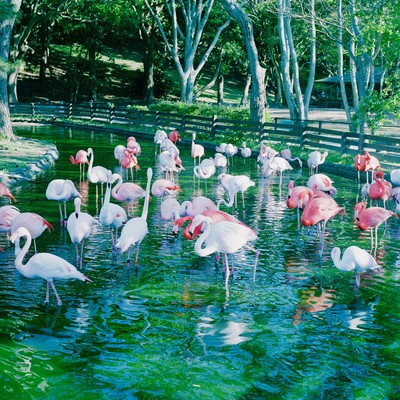 DEAD AND BREAKFAST Front Cover