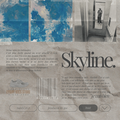 Skylineのジャケット写真