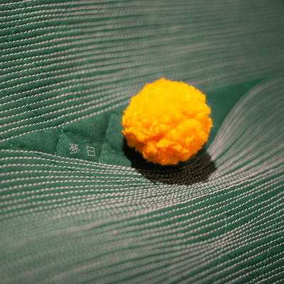 dream day Front Cover