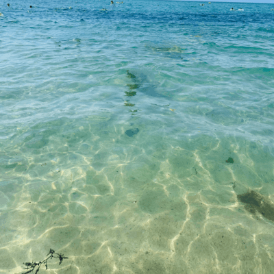 Shining heroのジャケット写真