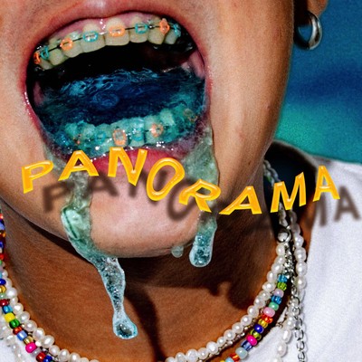 PANORAMA (feat. Need a Flex) Front Cover