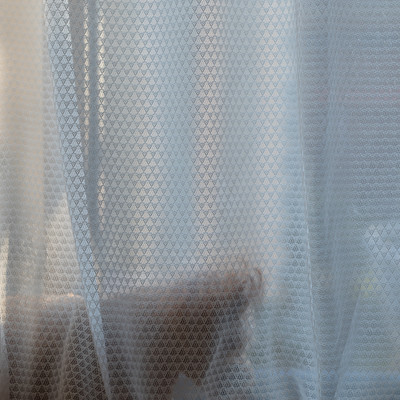 懐かしいのジャケット写真