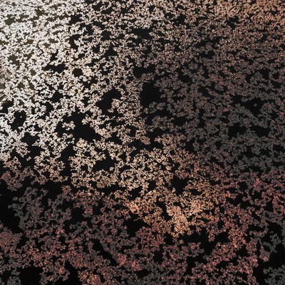 散花のジャケット写真