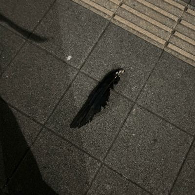 OMGのジャケット写真