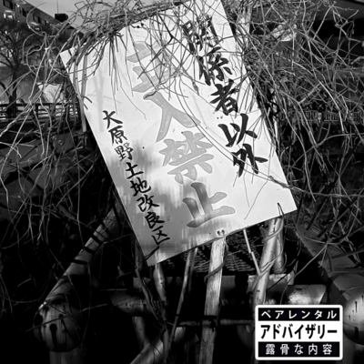 NO SUMMITのジャケット写真