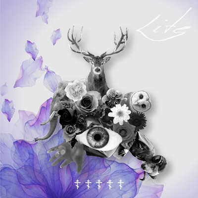 Life Front Cover