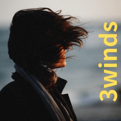 3winds (feat. synthesizer.v.ai.ryo) Front Cover