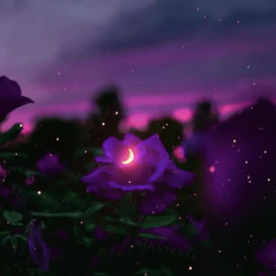 Soul songのジャケット写真