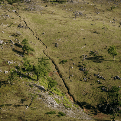 Hear and There Front Cover