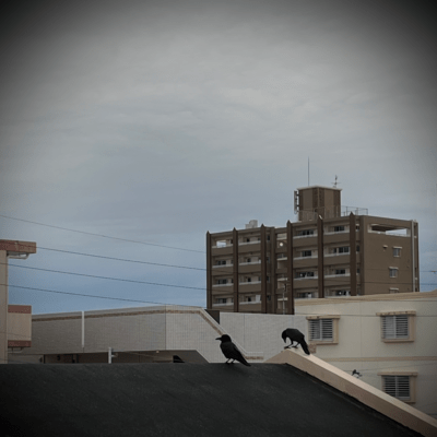 initial C Front Cover