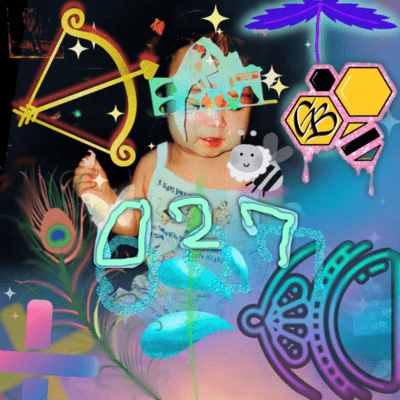 027のジャケット写真