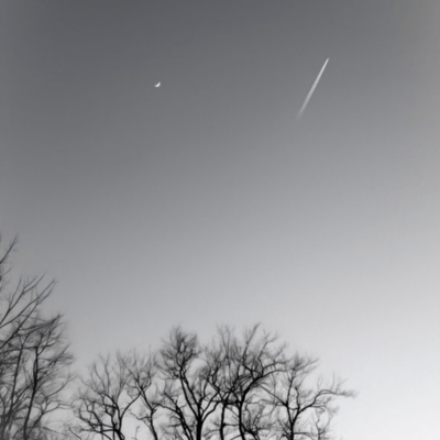 all my feelings Front Cover