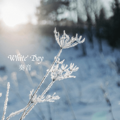White Day Front Cover